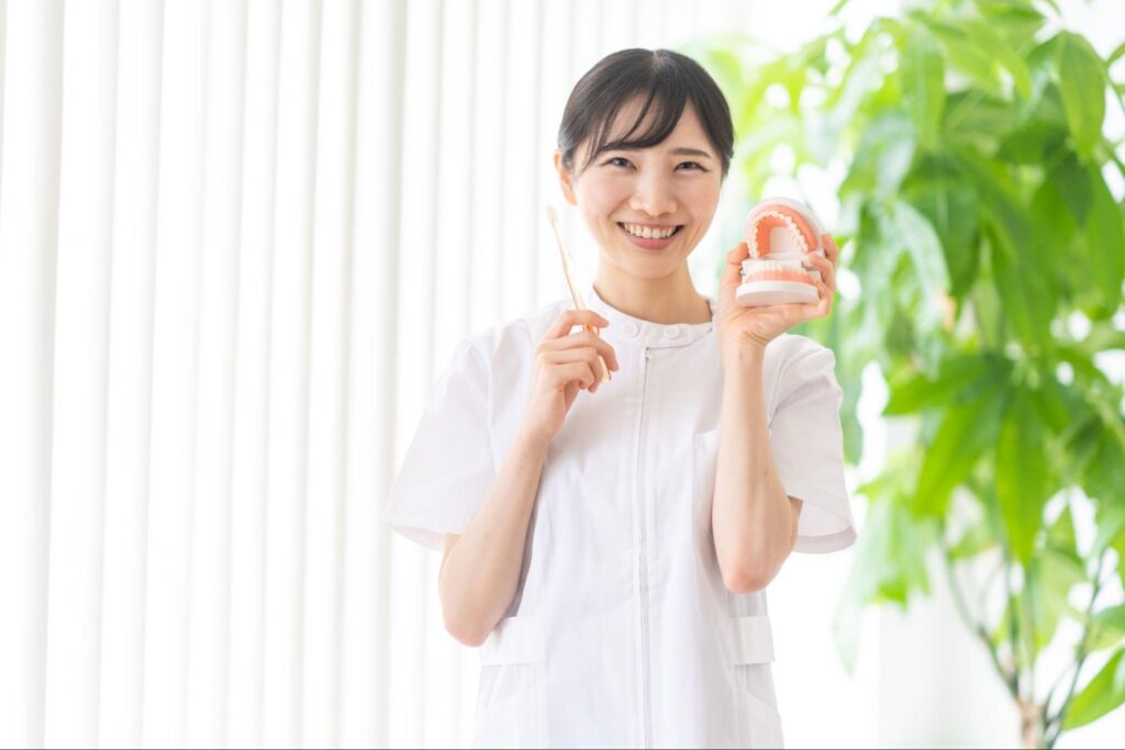 歯の模型と歯ブラシを持った歯科医療従事者の女性
