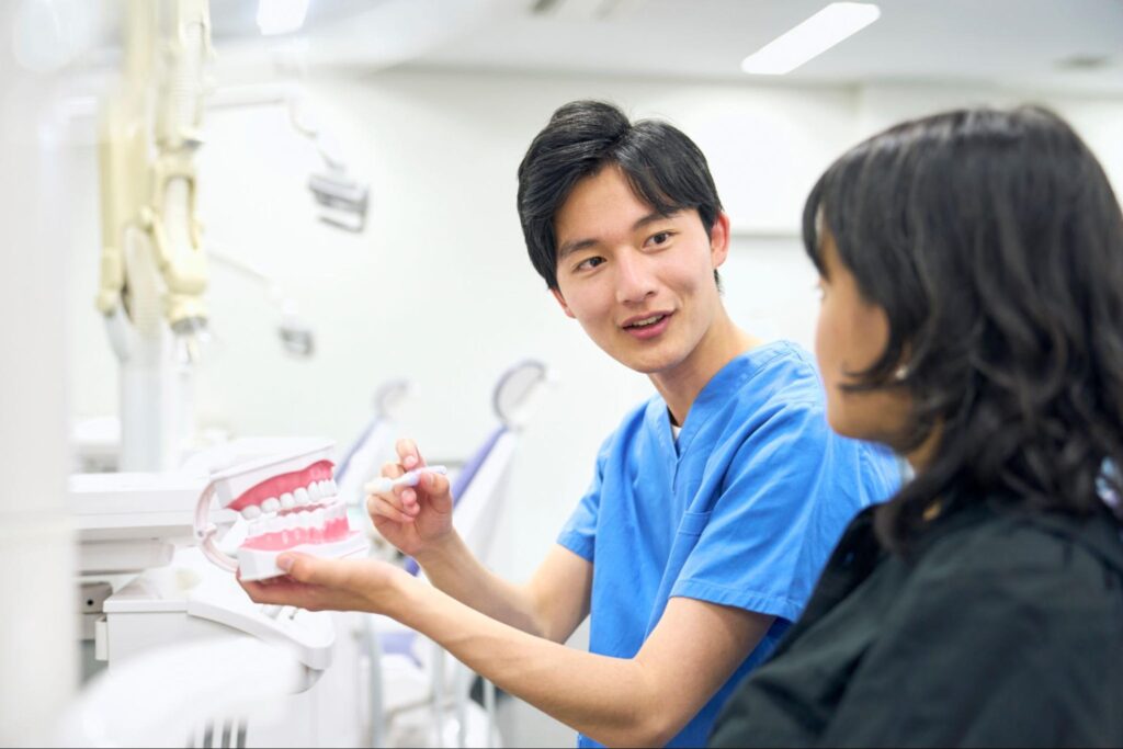 歯の模型で説明する歯科医師